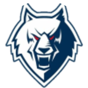 HC Neftekhimik Nizhnekamsk - Ice hockey team