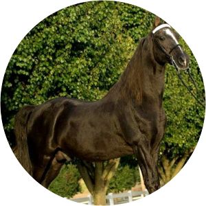 He's Puttin' on the Ritz