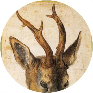 Head of a Stag