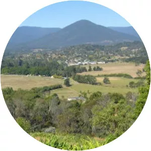 Healesville