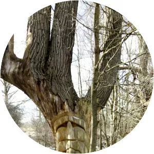 Health Valley Trail - 