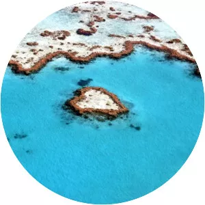Heart Reef - 