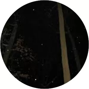 Heaven Has No Favorites