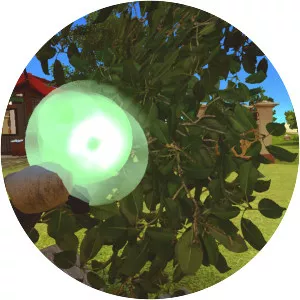 Heaven Island Life - Video game