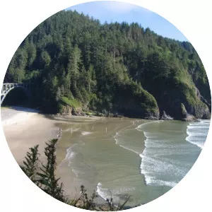Heceta Head - 