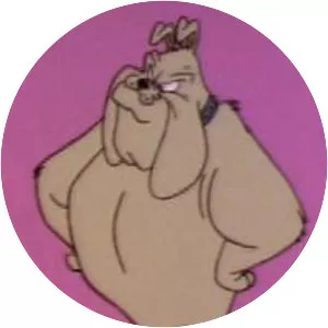 Hector the Bulldog photograph