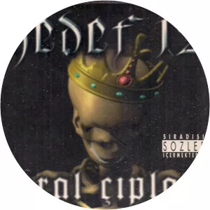 Hedef 12 - Musical group