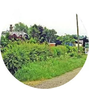 Hedgeley railway station