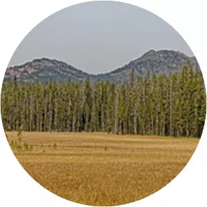 Hedges Peak - Mountain in Wyoming