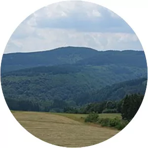 Heidekopf