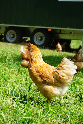 Heiselerhof Hofladen