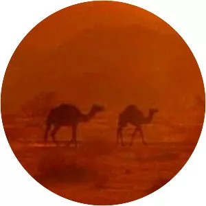 Hejaz Railway Museum