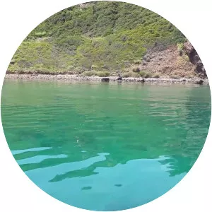 Hekim Island (Hekim Adası)