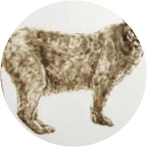 Helen Altman - Artist