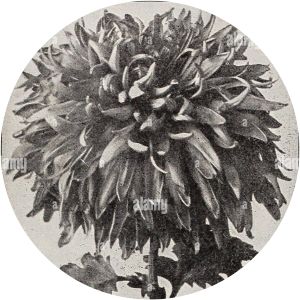 Helen Bloodgood photograph