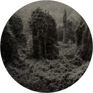 Helene Schmitz - Photographer