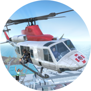 Helicopter Flight Pilot