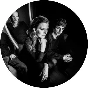 Helium Horse Fly - Musical group