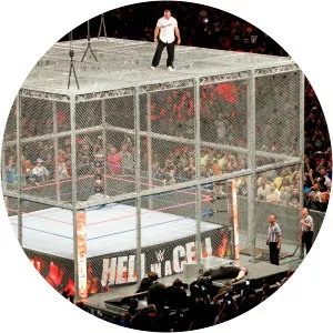 Hell in a Cell (2017) photograph