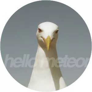 Hello Meteor - Musical artist