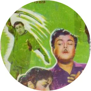 Hello Mister Zamindar