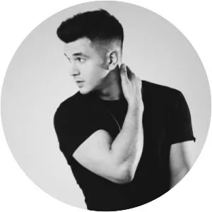 Helmer Veliz - Musical artist