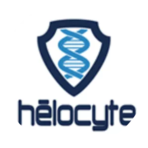 Helocyte