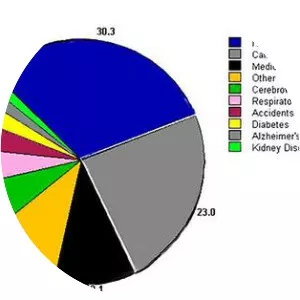 Hemlock Society - Nonprofit organization