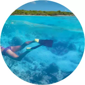 Henley Cay - Islet in the United States Virgin Islands