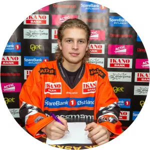 Henrik Fayen Vestavik