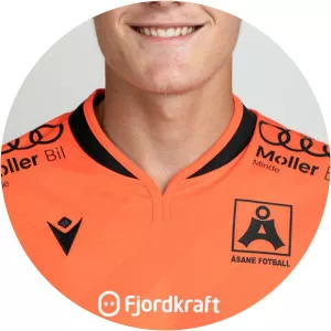 Henrik Gjerde Ødemark