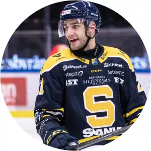 Henrik Malmstrom - Ice hockey player