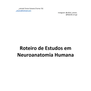 Henrique de Figueiredo Torres Caivano