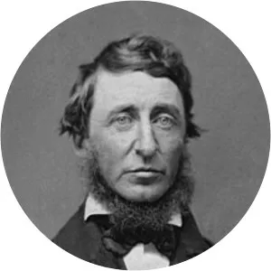 Henry David Thoreau - American naturalist