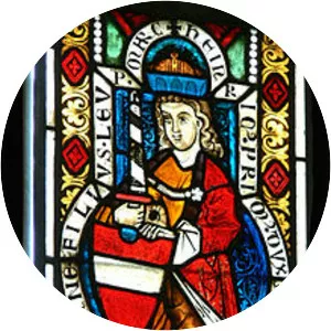 Henry II, Duke of Austria - King