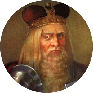 Henry IX the Older