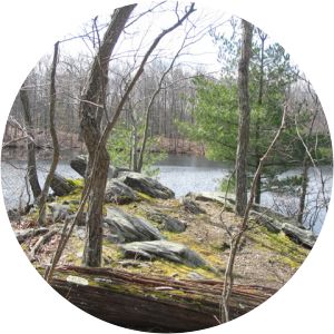 Henry Morgenthau Preserve - 