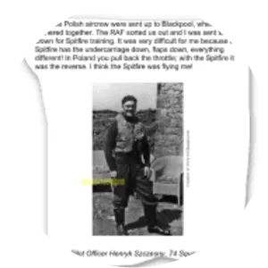 Henryk Szczęsny - Military officer