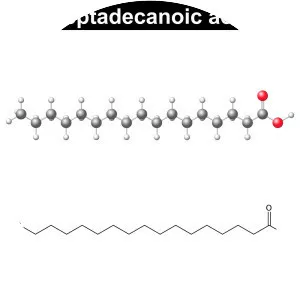 Heptadecanoic acid - 