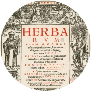 Herbarium vivae eicones - Book by Otto Brunfels