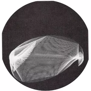 Herbert W. Franke - Austrian scientist