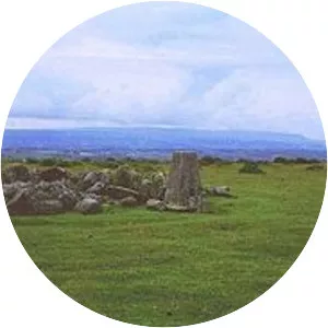 Hergest Ridge - Hill in England