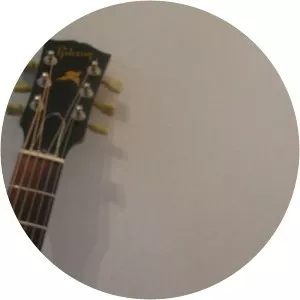 Herman Acke Musician