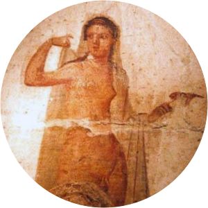 Hermaphroditus photograph