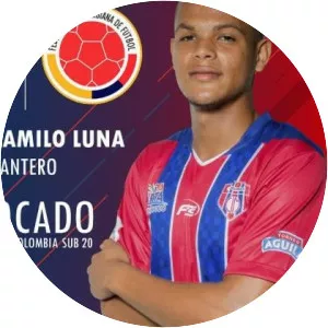 Hernán Camilo Luna Gómez