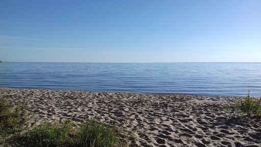 Heroiv St - Bus stop in the Stari Petrivtsi, Ukraine