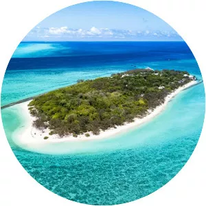 Heron Island