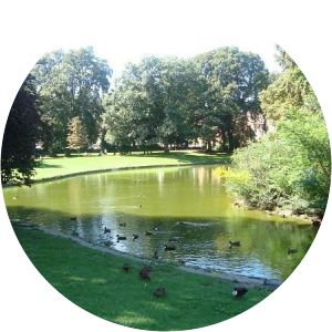 herrngarten steinbrücker teich - Lake in Germany