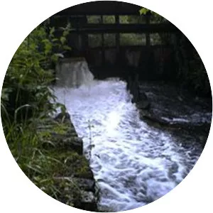 Hertford Castle Weir - 