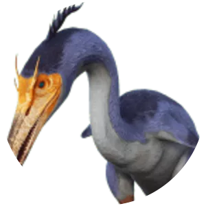 Hesperornis